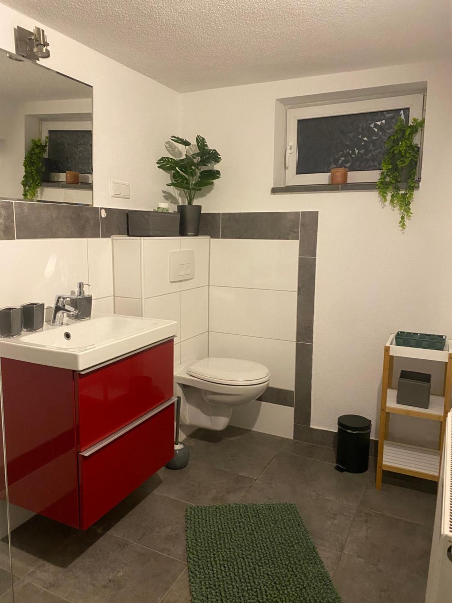 Apartment Roomy Comfort - Zwischen Heidelberg Und Mannheim Edingen-Neckarhausen Экстерьер фото