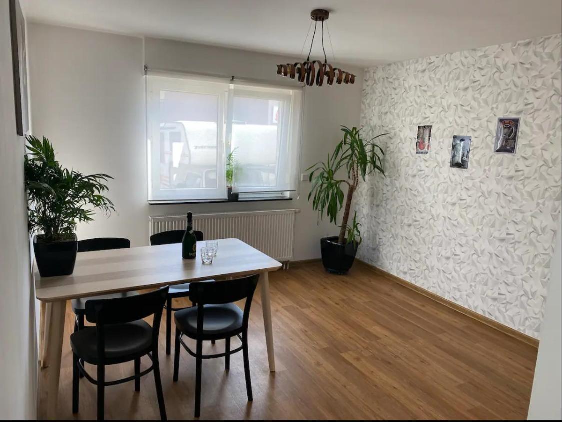 Apartment Roomy Comfort - Zwischen Heidelberg Und Mannheim Edingen-Neckarhausen Экстерьер фото